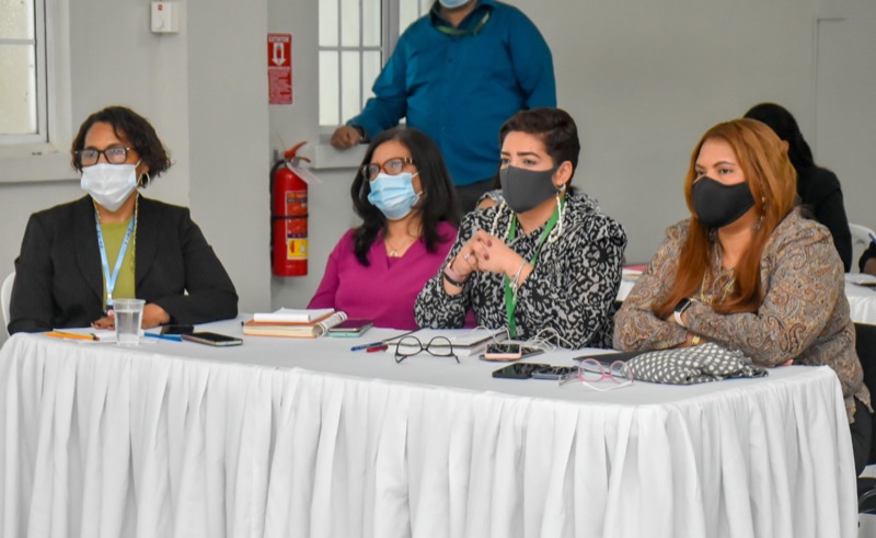 CONAPE imparte taller sobre la Plantación del Escenario Laboral
