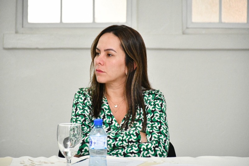 CONAPE aprobó la implementación del Plan Internacional de Madrid para las políticas públicas