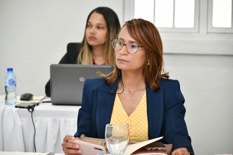 CONAPE aprobó la implementación del Plan Internacional de Madrid para las políticas públicas