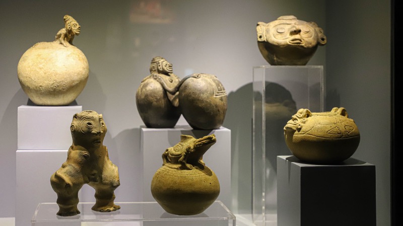 CONAPE realiza recorrido con adultos mayores en Museo del Hombre Dominicano