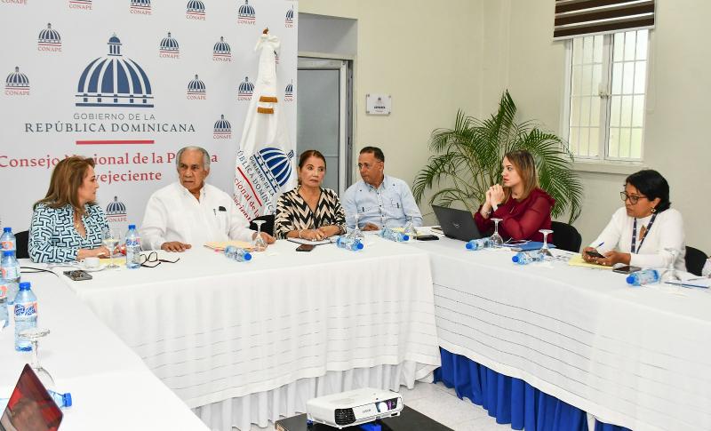 Dir. Ejecutivo de CONAPE dirigió encuentro con AFP Popular y UNFPA